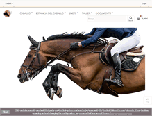 Tablet Screenshot of dmequitacion.com